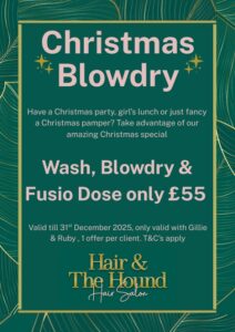 Christmas Blowdry Offer Twickenham Salon 2025 Christmas Blowdry Offer Twickenham Salon 2025
